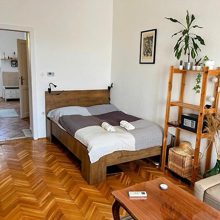 Domos Buda Castle Balcony Apartment Budapest Eksteriør billede